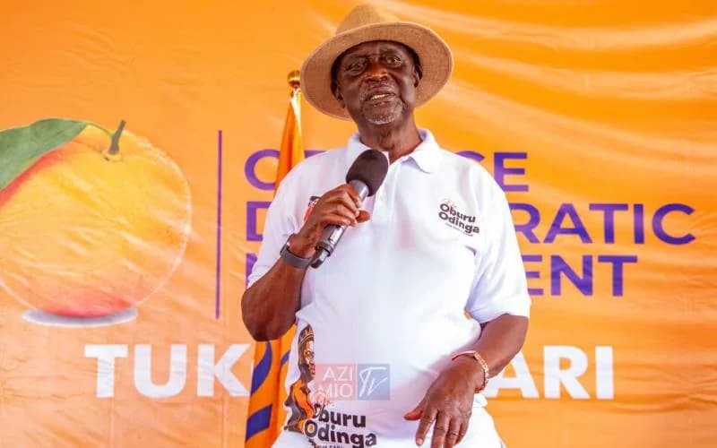 Oburu warns outsiders against meddling in ODM-UDA talks as focus shifts to 2027