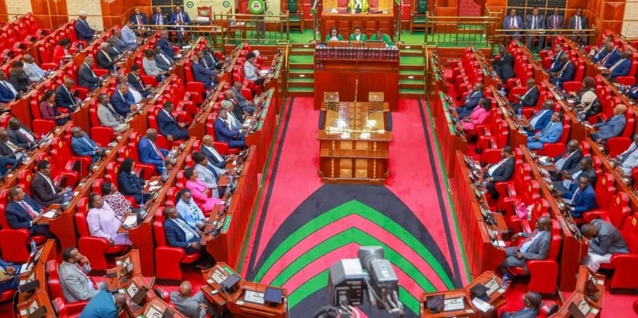 National Assembly passes Elections Bill proposing changes to livestreaming of poll results