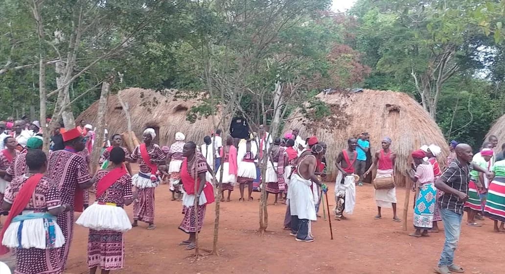 Rabai elders warn of cultural extinction as sacred Kaya forests in Kilifi face destruction