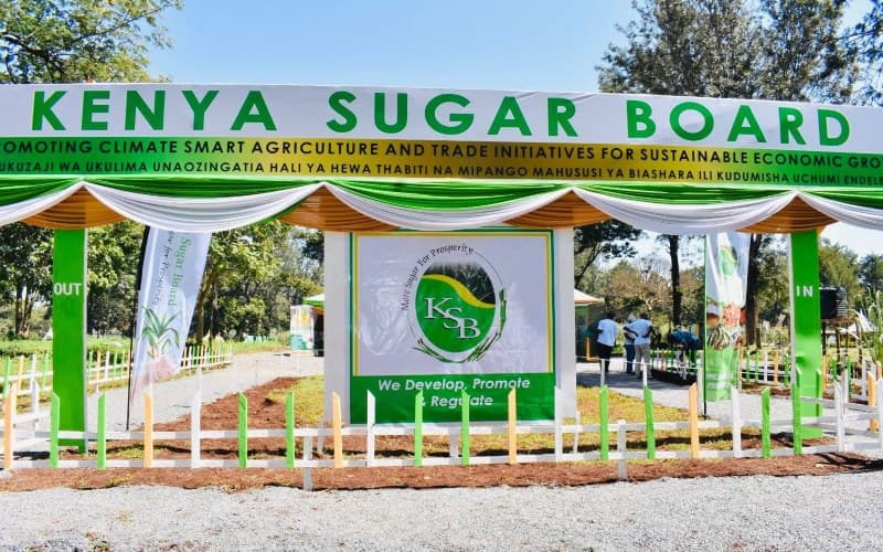 Sugarcane farmers to elect Kenya Sugar Board representatives on November 24