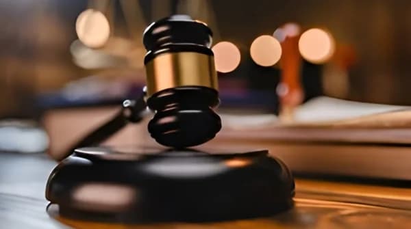 Two men face life in jail over elephant tusks, leopard and cheetah skins