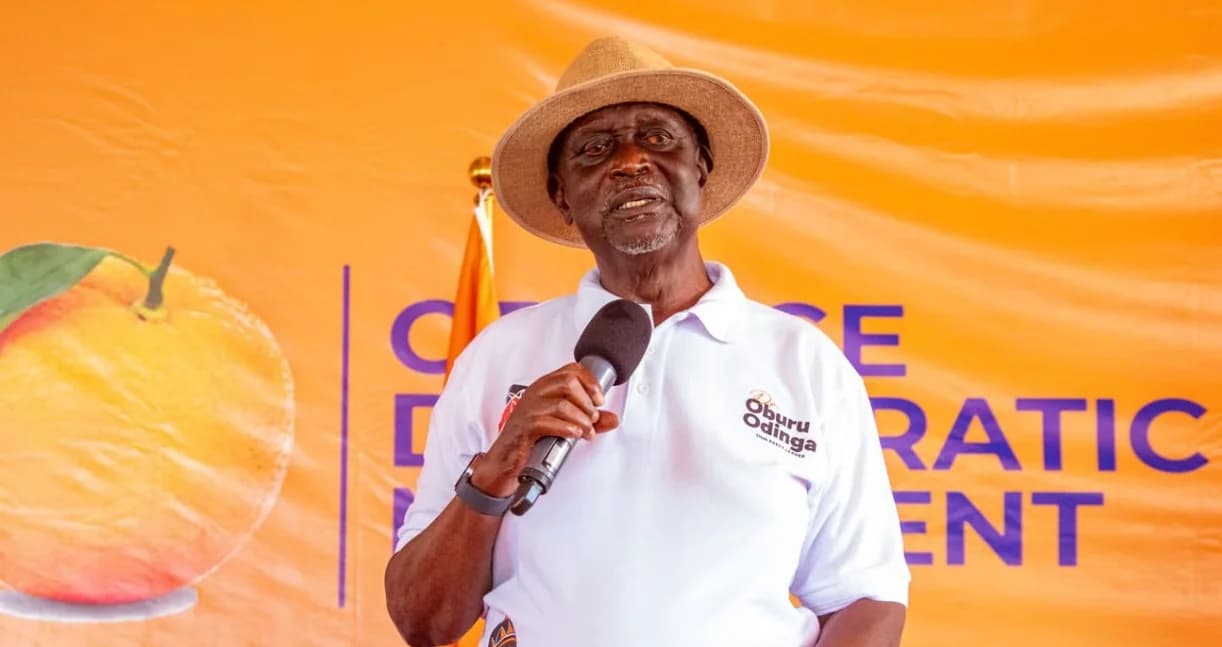 Oburu: Why I will not be attending any public events anytime soon