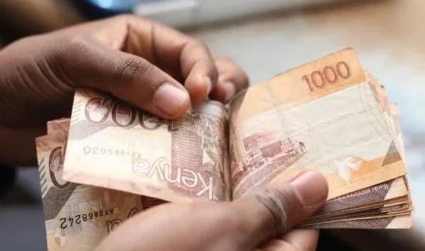 Kenyan CEOs grow more optimistic about economy as festive spending lifts business outlook