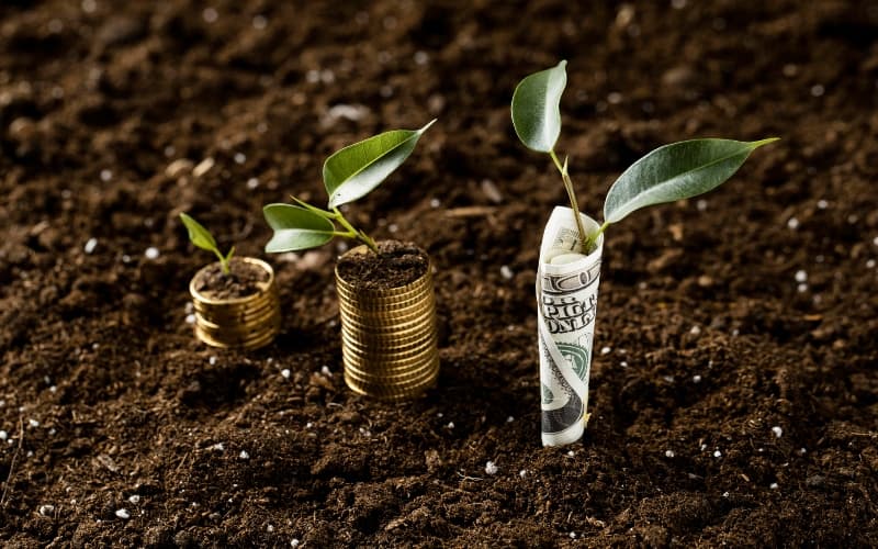 Kenya commands 51 per cent of Africa's ClimateTech funding