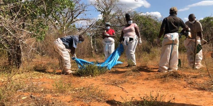 Shakahola exhumations valid despite absence of forensic archaeologist, judge rules