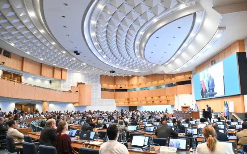 UN, African officials call for investment on data systems