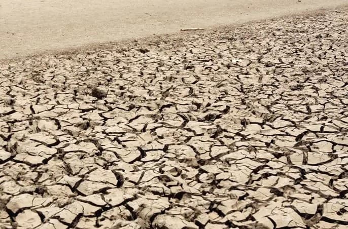 Researchers urge climate change to be declared global health emergency