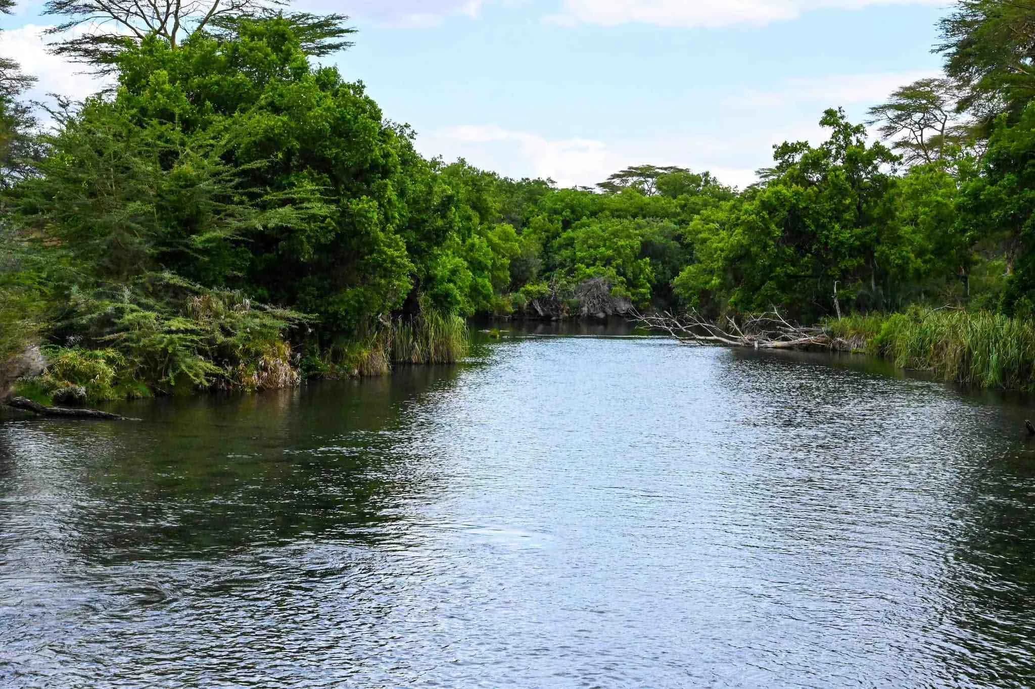 Water rationing hits Voi, Maungu and Mackinnon Road in Taita Taveta as Mzima Springs supply dwindles