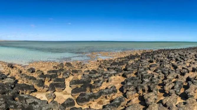 Earth’s oldest evidence of life is written in stone – but it’s at risk of disappearing