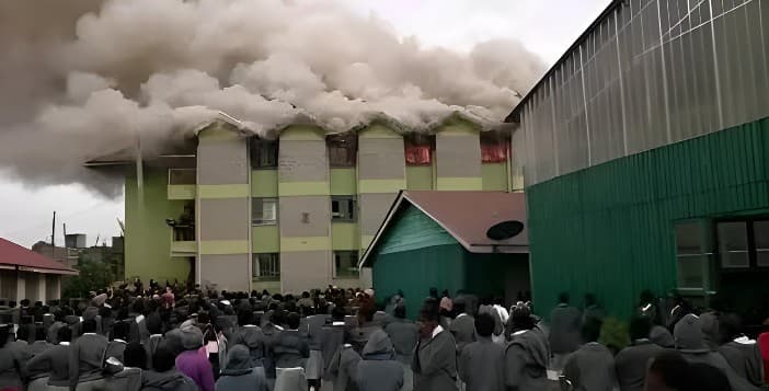 Explainer: What 52-member team appointed to probe school unrest will be tasked to do