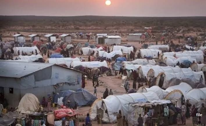 Kenya hosts 879,452 refugees and asylum seekers, UNHCR says
