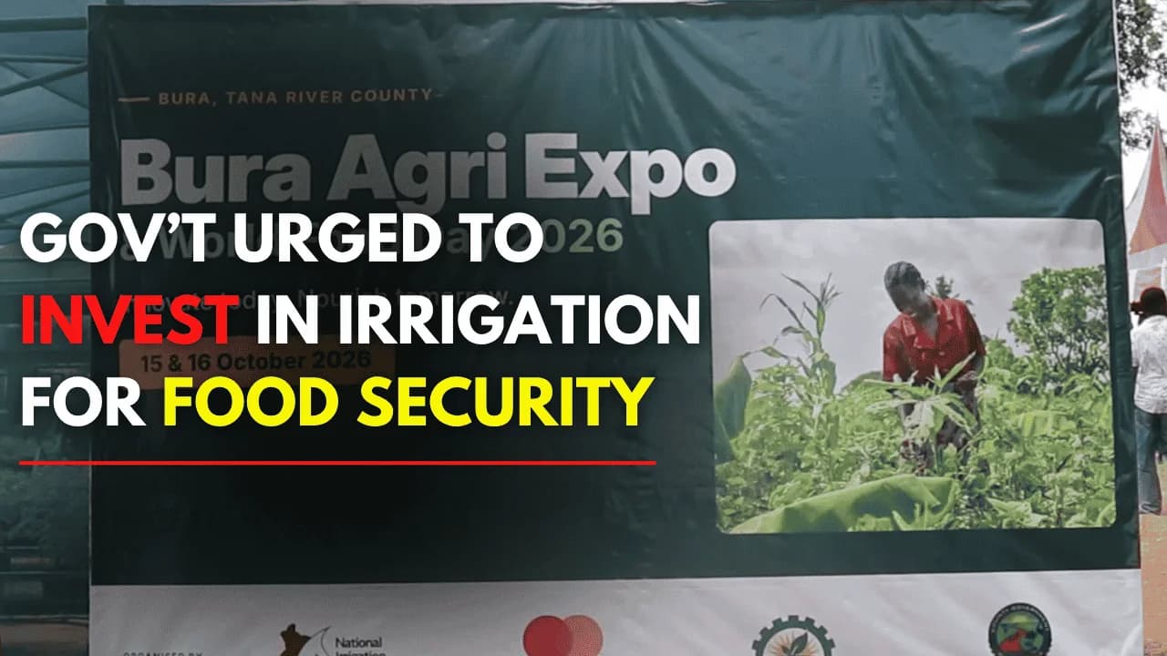 Eastleigh Voice at Nine - Government urged to invest in irrigation to boost food security