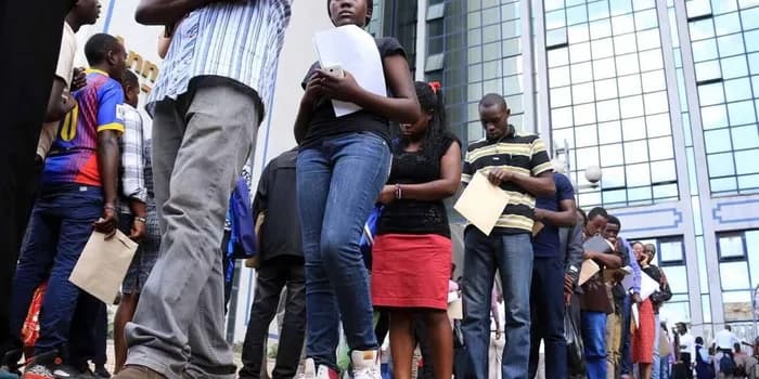 Mass Layoffs Loom as Registrar of Companies Dissolves 72 Firms, Targets 68 More