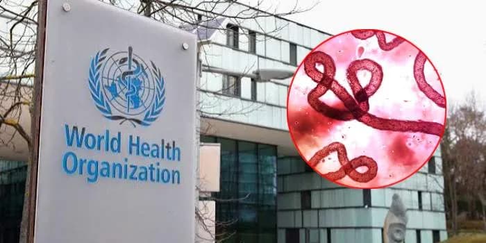 WHO Explains When a Country Can Be Declared Ebola-Free