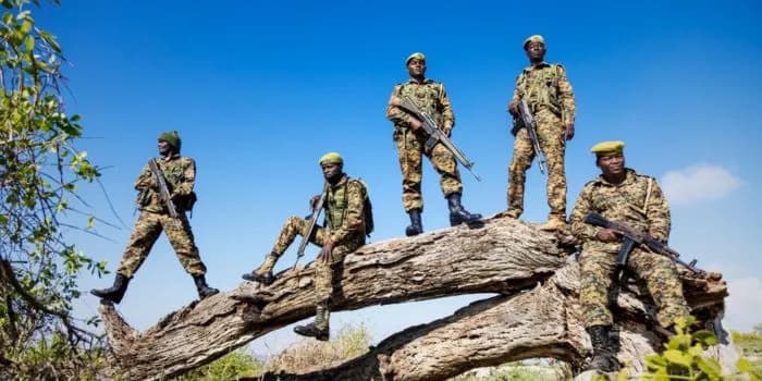 Suspected Poachers Flee KWS Ambush, Abandon Wildlife Meat