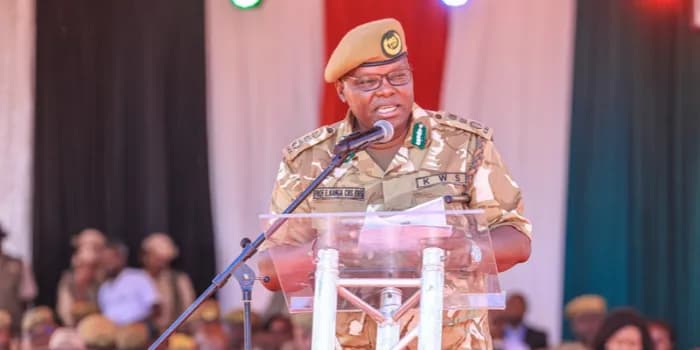 Kenya Launches Ksh20 Billion Conservation Project, Targets 7,800 Jobs
