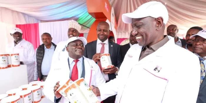 Ruto Announces Plan to Decentralise KCC Factories in Bid to Lower Milk Prices