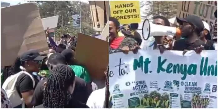 Forest Defenders March to Ministry Over Kenya's Deforestation Crisis