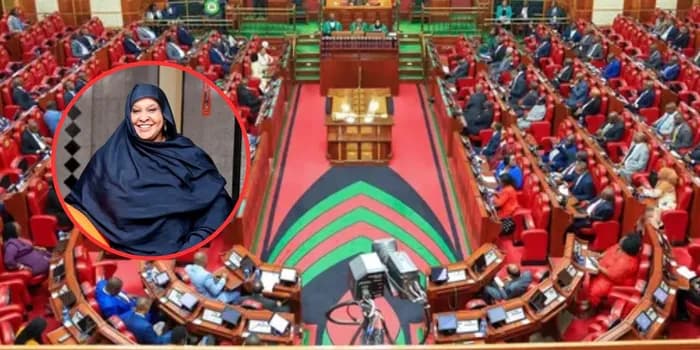 Parliament Approves Former Wajir Woman Rep Fatuma Ibrahim Ali as PSC Commissioner
