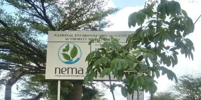 NEMA Arrests 5, Seizes 90,000 Plastic Bags in Nairobi Crackdown