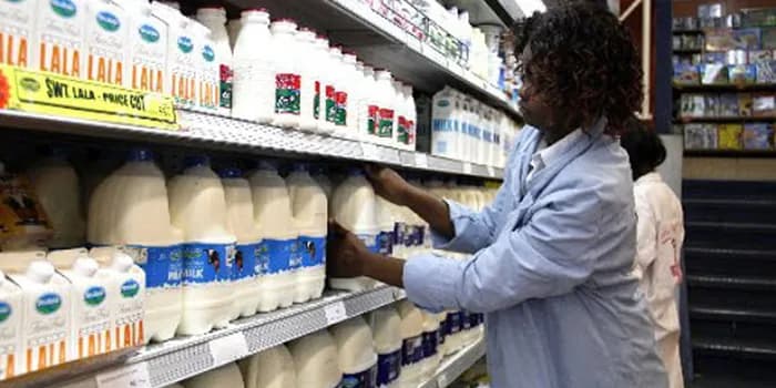 Milk Farmers to Be Paid Ksh65 Per Litre Starting This Month, Ruto Announces