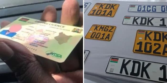 NTSA Asks Motorists to Check Uncollected Driving Licences, Logbooks and Number Plates