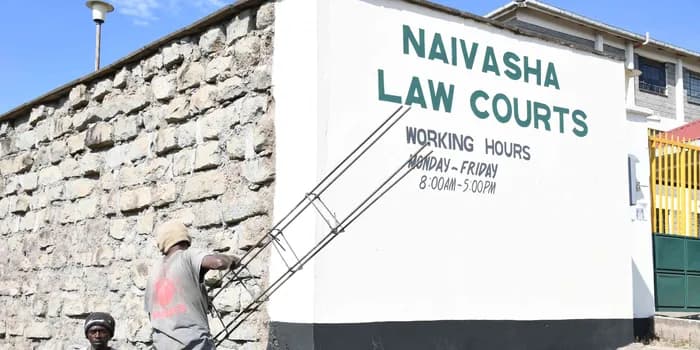 High Court Suspends Mining by Chinese Company After Naivasha Protests