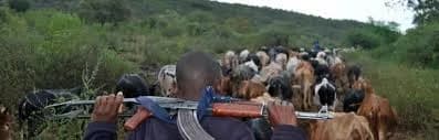 Herder, suspected bandit killed in shootout during stock theft attempt in Turkana’s Nachibil village