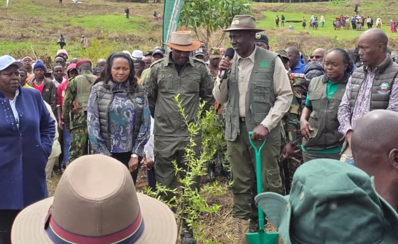 Mau restoration puts livelihoods at the heart of conservation