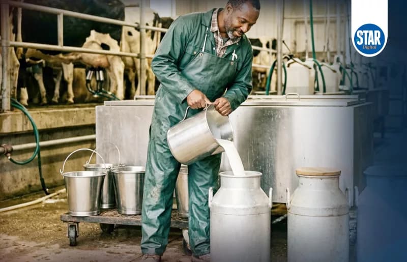 Kenya's milk supply in numbers