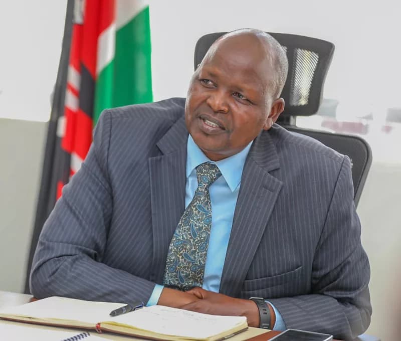 Ngong Forest logging is legal and restricted to daytime, KFS says