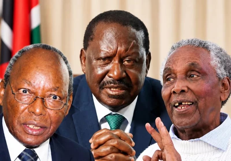 Raila Odinga among 264 Kenyans honoured on Mashujaa Day
