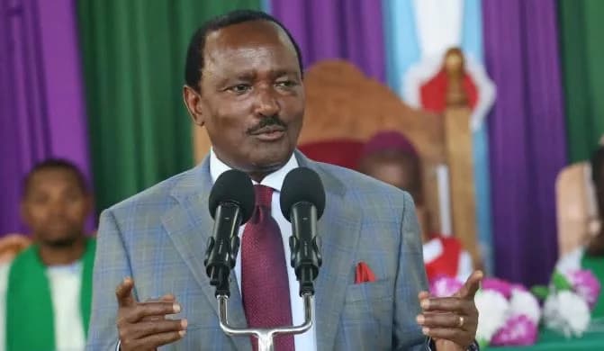What is wrong with friends visiting? Kalonzo defends Gachagua ties