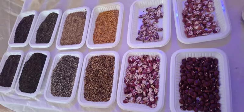 Organic farmers seek cheaper certification to tap new markets
