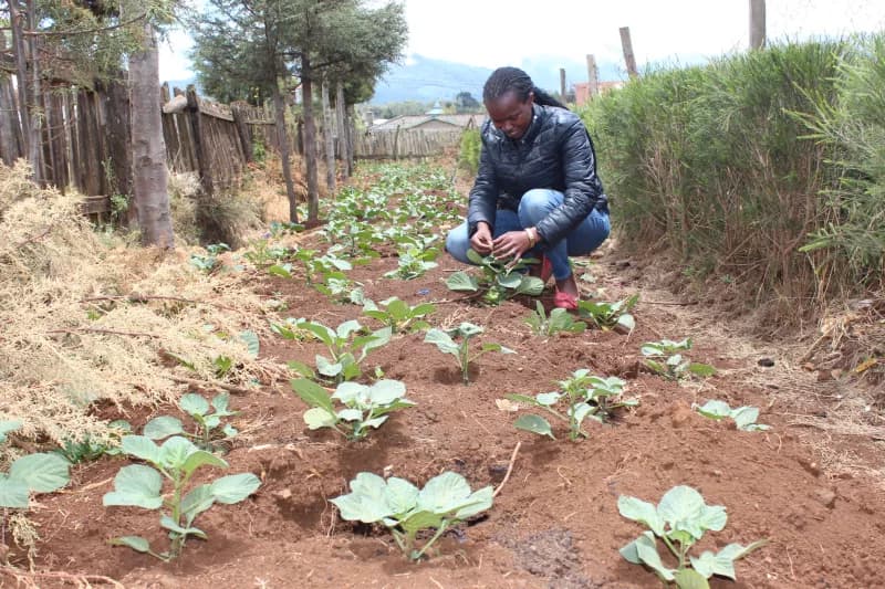 How school gardens are changing diets in Nyandarua households