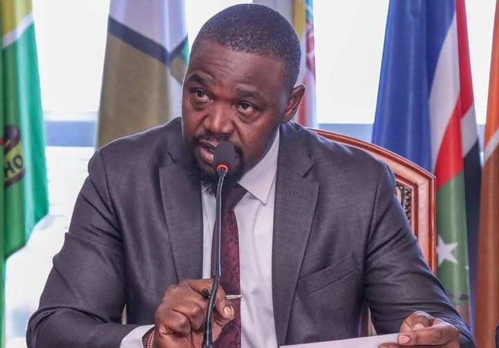 Atellah pledges to champion disability rights if elected Lang’ata MP