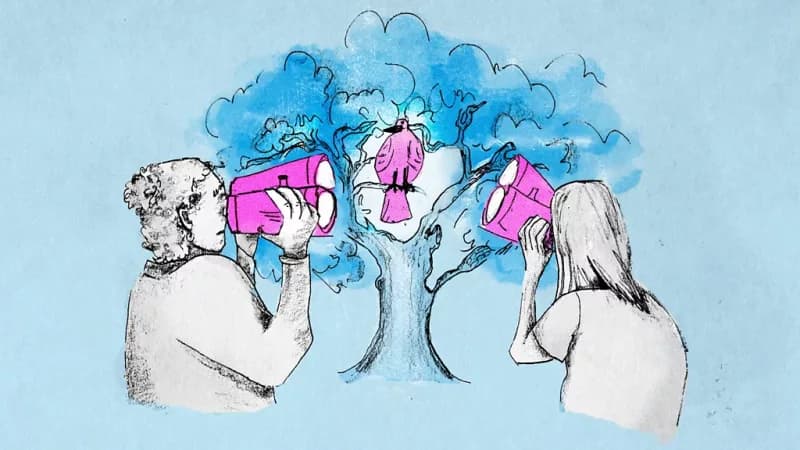 Birdwatching rewires the brain and slows cognitive decline