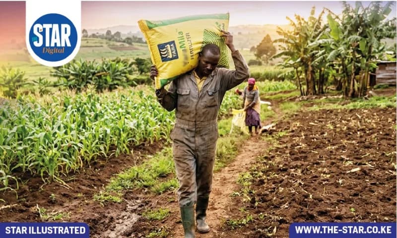 What are Kenyans using agricultural loans for?