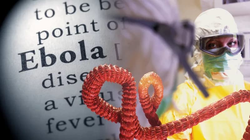 Nigeria's first Ebola patient holidayed in Uganda, officials say
