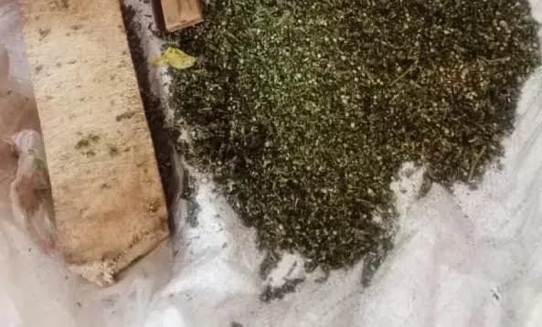 Police seize 927 rolls of bhang in Kiambu, Kirinyaga