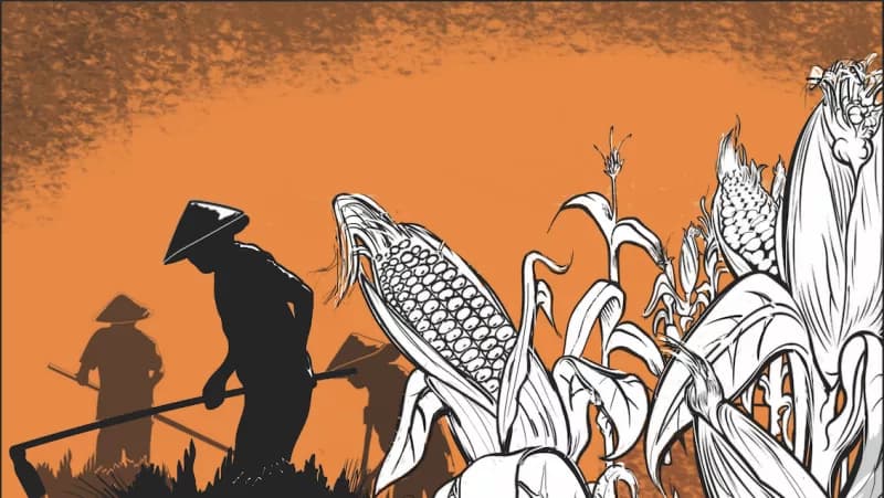 Reviving colonial dams can unlock new era of food security