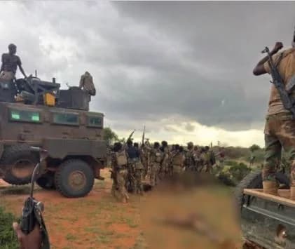 Somali army says 75 Al-Shabaab militants killed in major offensive