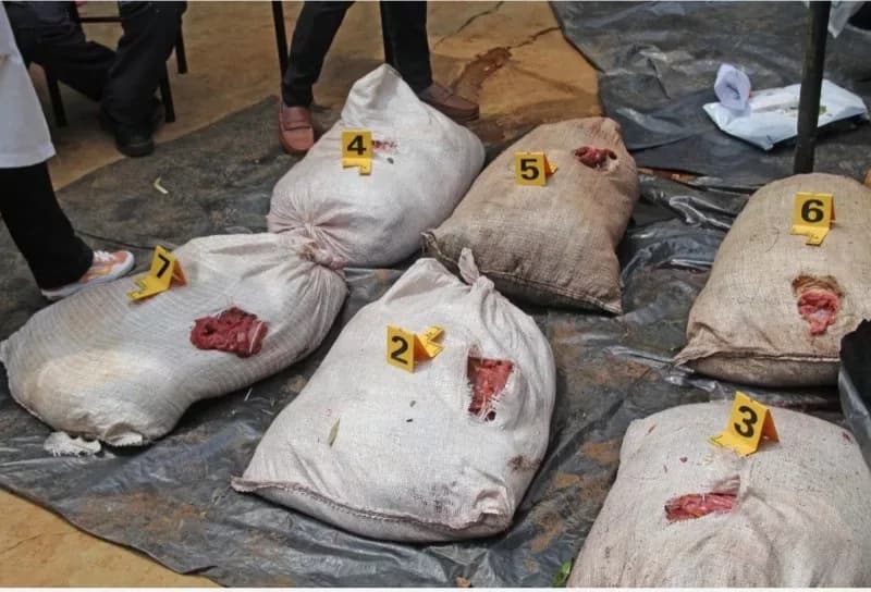 Bushmeat becoming more complex driven by organised networks with high demand