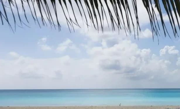 Mum dies after trying to rescue sons swept away at sea