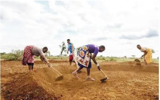 No land, no future: Why women’s rights are key to land restoration efforts