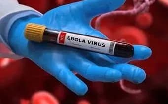 Uganda reports no Ebola cases after Nigerian patient transited through country