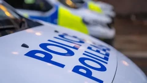 Boy, 16, and 80-year-old man die in light aircraft crash near Loch Lomond