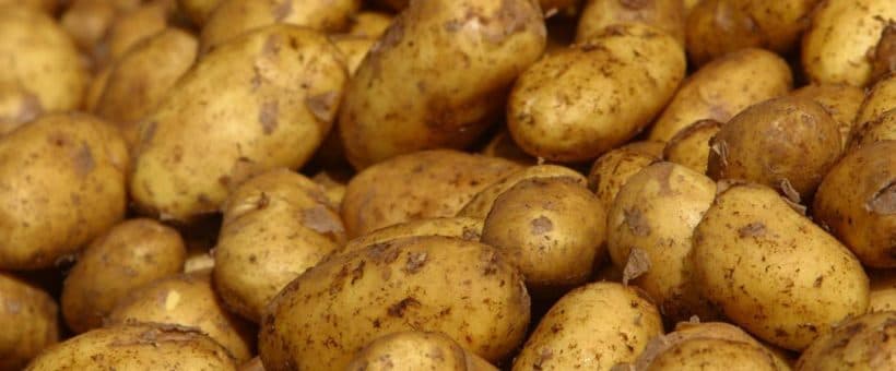 Meru potato farmer doubles earnings through innovative storage