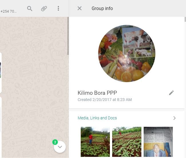 WhatsApp group saves farmer’s tomatoes