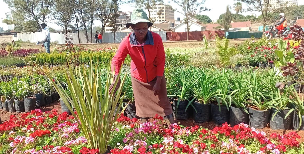 Eldoret youth turn railway reserve into productive green hub